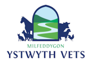 Ystwyth Vets